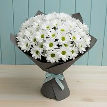 Букет цветов из:  Хризантемы в Златоусте