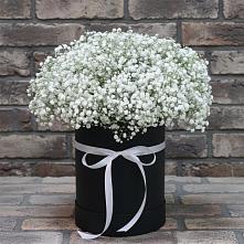 Цветочная композиция из Гипсофила в шляпной коробке в Златоусте