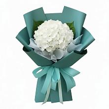 Букет цветов из:  Гортензия #REPLACE_PRED# Златоусте